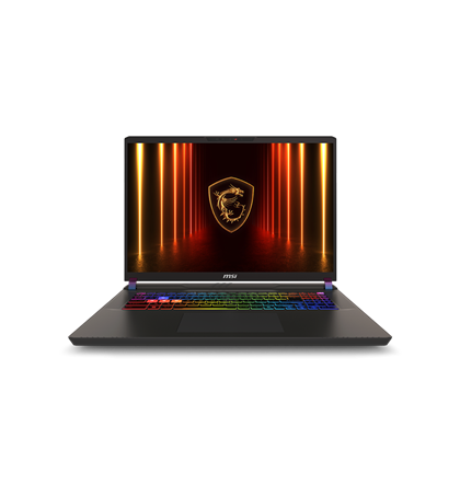 MSI Vector 17 HX AI A2XWJG-021KH Cosmos Gray