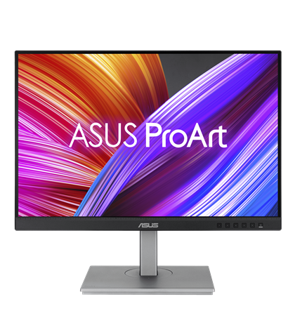 ASUS ProArt Display PA248CNV