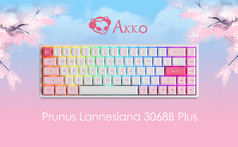 AKKO 3068 B Multi-modes ASA-Prunus lannesiana Jelly Pink	